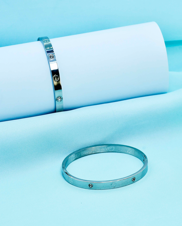 Stainless Steel Enamel Bangle-Silver